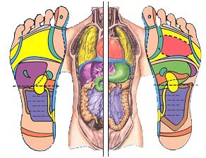 fabrice_escher_photo_cartographie_reflexologie